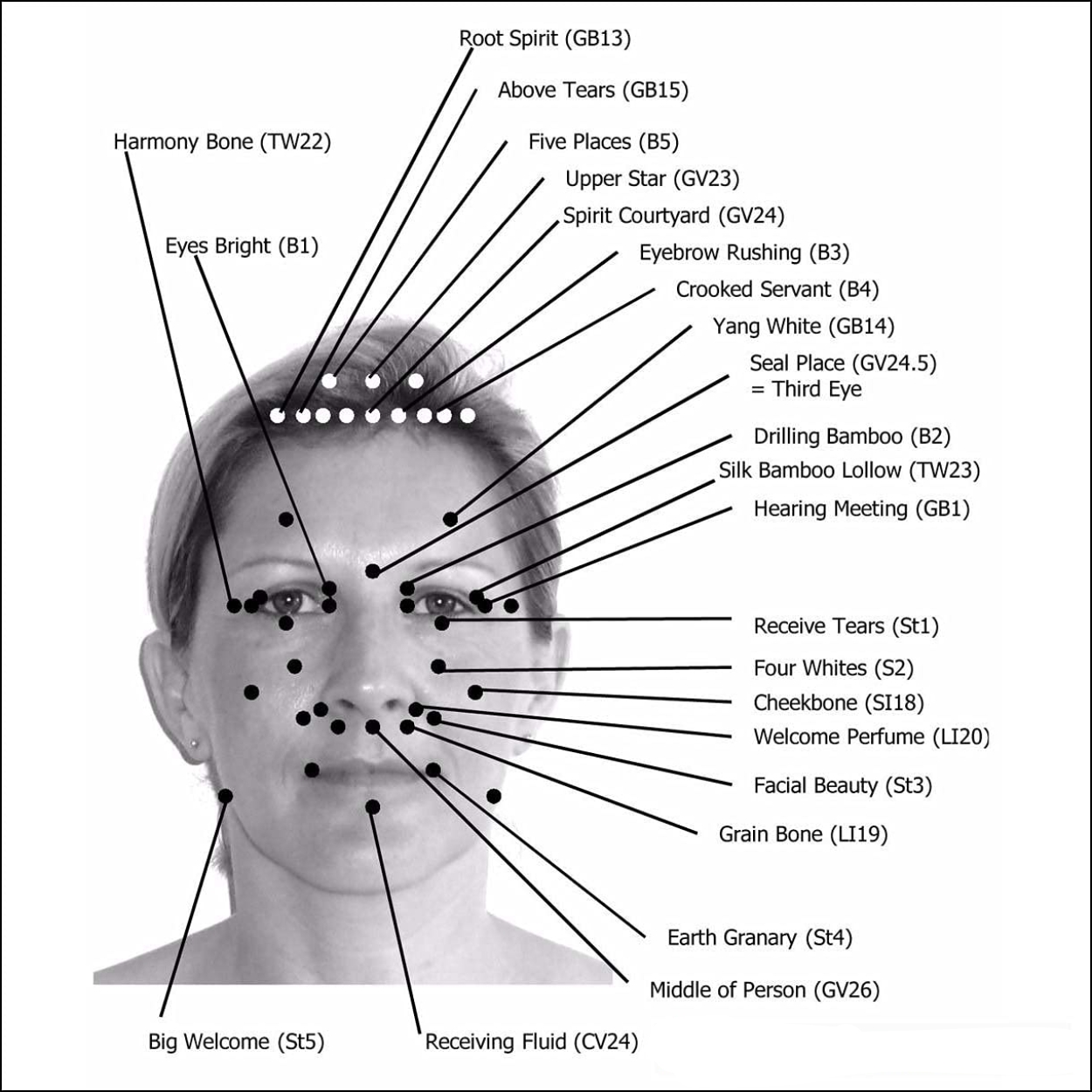 k-start-course-image